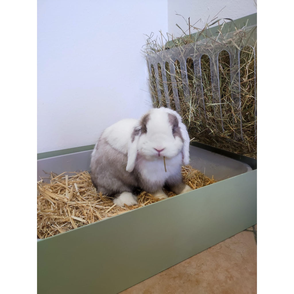 Fieniera XL I Love my Rabbit