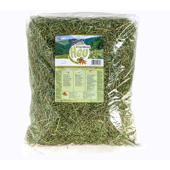 Fieno Garden Joy Bunny