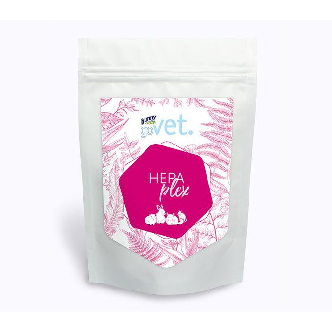 Bunny GoVet HepaPlex