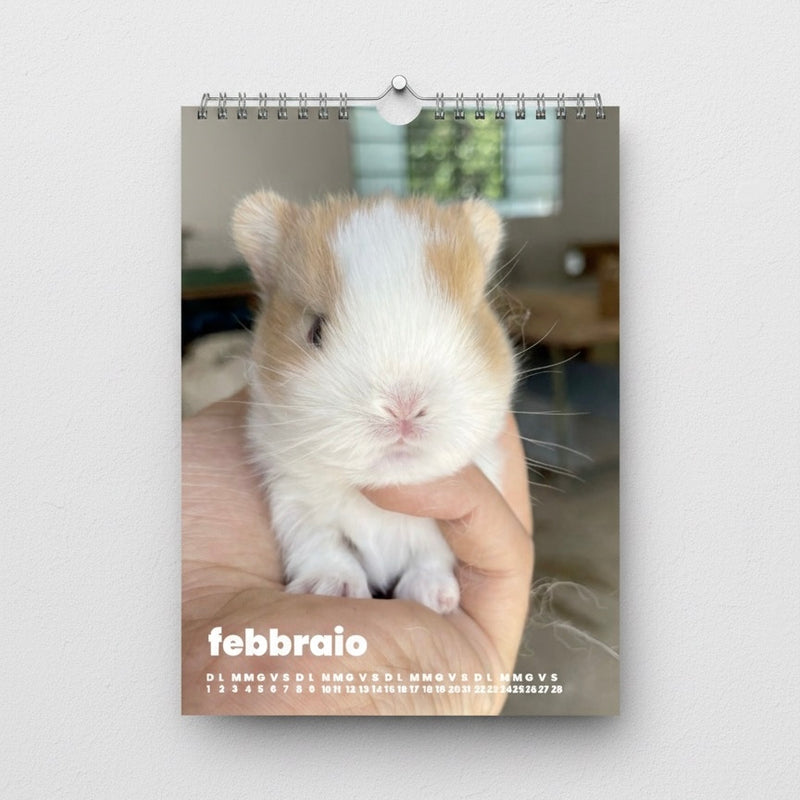 Calendario 2026 La Stalla dei Conigli (Gratis oltre 35€ di spesa esclusa spedizione)