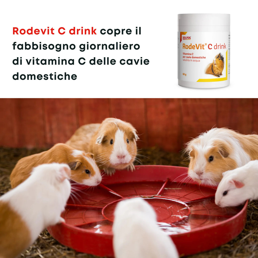 Rodevit C Drink