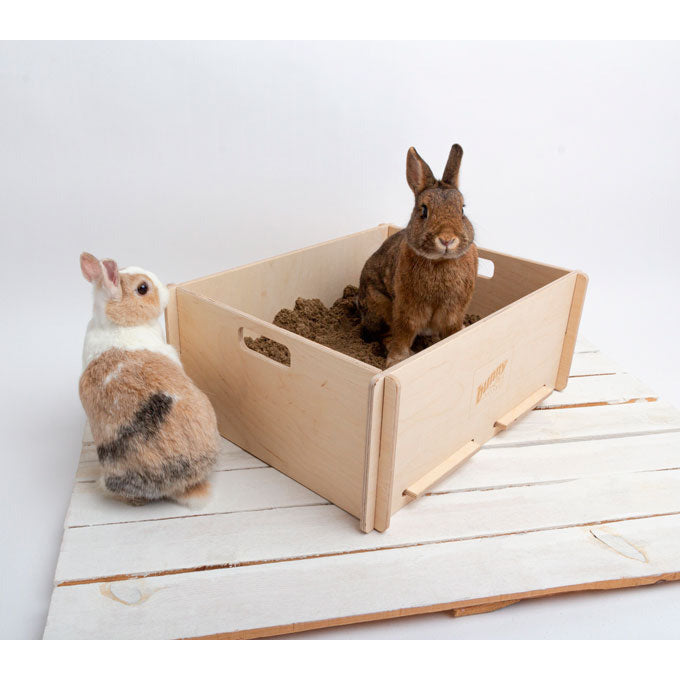 Bunny Interactive Digging Box