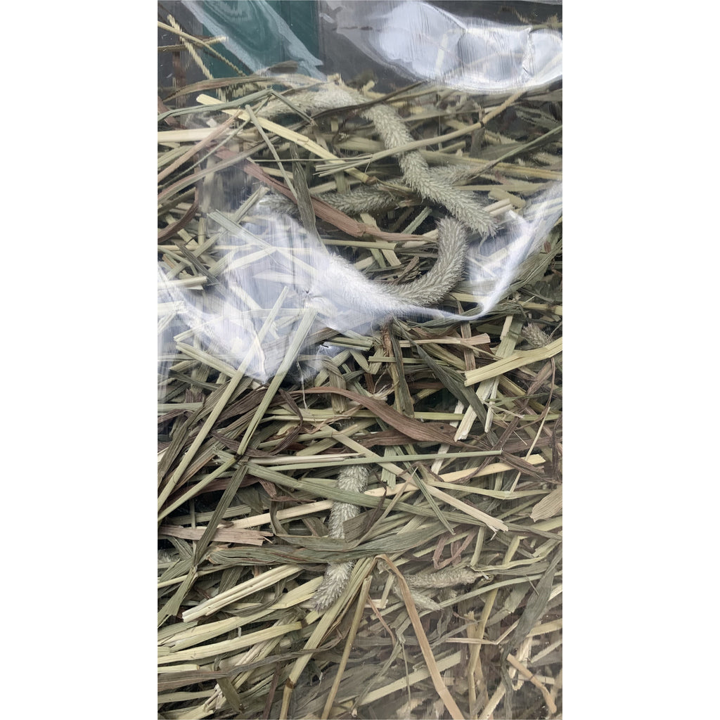 Fieno Timothy Rabbit La Stalla dei Conigli