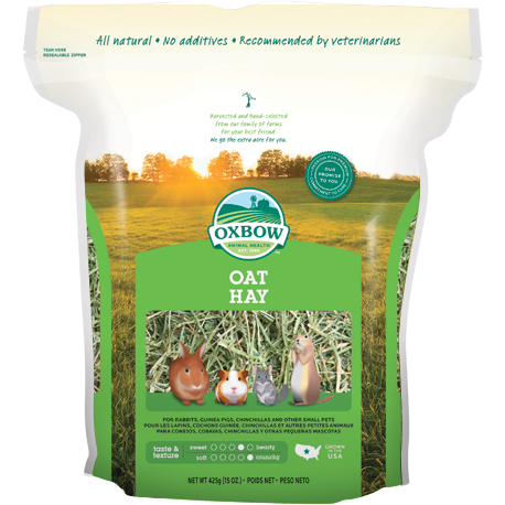 Fieno Oxbow Oat Hay (avena selvatica) 425gr