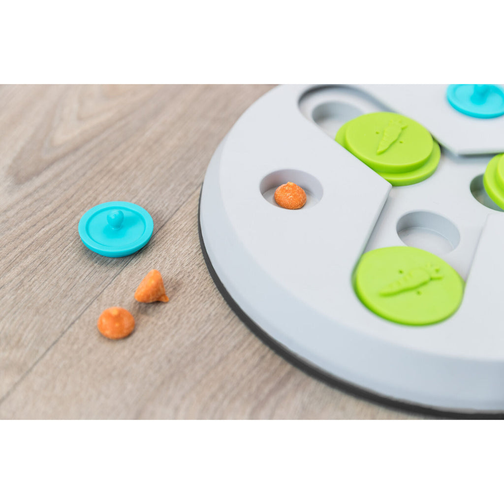 Slide & Fun Board Strategy Game Trixie